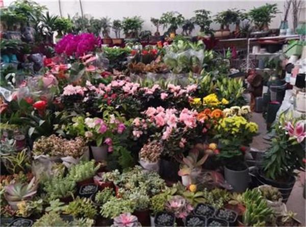 建设花卉大棚恒温系统建议选用空气能供暖机