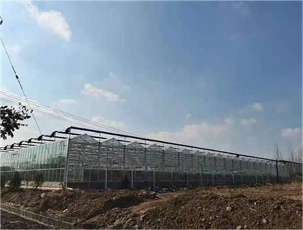 空气能热泵：适用农业大棚种植的理想能源