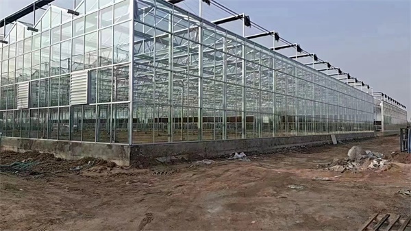 科技助力农业革新：空气能大棚种植引领新潮流