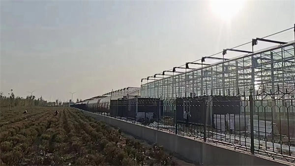 空气能大棚种植,开启绿色农业新时代